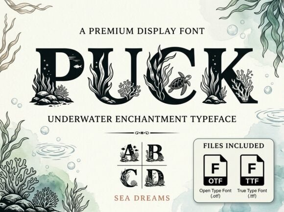 How Puck Transforms Digital Brand Experiences